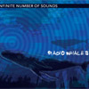 Radio Whales